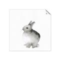 Picture of Bunny II-M _GroupedProduct_Square_Mini_ _GroupedProduct_Square_Unframed_Print_Only_