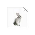 Picture of Bunny I-M _GroupedProduct_Square_Mini_ _GroupedProduct_Square_Unframed_Print_Only_