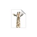 Picture of Giraffe Peekaboo _GroupedProduct_Rectangle_Portrait_Mini_ _GroupedProduct_Rectangle_Portrait_Unframed_Print_Only_