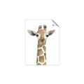 Picture of Giraffe Peekaboo _GroupedProduct_Rectangle_Portrait_Mini_ _GroupedProduct_Rectangle_Portrait_Unframed_Print_Only_