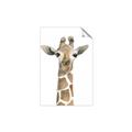 Picture of Giraffe Peekaboo _GroupedProduct_Rectangle_Portrait_Mini_ _GroupedProduct_Rectangle_Portrait_Unframed_Print_Only_