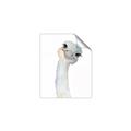 Picture of Ostrich Peekaboo _GroupedProduct_Rectangle_Portrait_Mini_ _GroupedProduct_Rectangle_Portrait_Unframed_Print_Only_