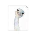 Picture of Ostrich Peekaboo _GroupedProduct_Rectangle_Portrait_Mini_ _GroupedProduct_Rectangle_Portrait_Unframed_Print_Only_