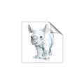 Picture of Tiny Rhino _GroupedProduct_Square_Mini_ _GroupedProduct_Square_Unframed_Print_Only_