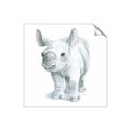 Picture of Tiny Rhino _GroupedProduct_Square_Mini_ _GroupedProduct_Square_Unframed_Print_Only_