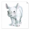 Picture of Tiny Rhino _GroupedProduct_Square_Mini_ _GroupedProduct_Square_Unframed_Print_Only_