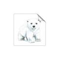 Picture of Tiny Polar Bear _GroupedProduct_Square_Mini_ _GroupedProduct_Square_Unframed_Print_Only_