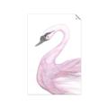 Picture of Pink Swan _GroupedProduct_Rectangle_Portrait_Mini_ _GroupedProduct_Rectangle_Portrait_Unframed_Print_Only_