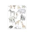 Picture of Zoo  Life _GroupedProduct_Rectangle_Portrait_Unframed_Print_Only_