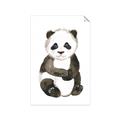 Picture of Panda Babe _GroupedProduct_Rectangle_Portrait_Mini_ _GroupedProduct_Rectangle_Portrait_Unframed_Print_Only_