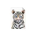 Picture of Tiger Babe _GroupedProduct_Rectangle_Portrait_Mini_ _GroupedProduct_Rectangle_Portrait_Unframed_Print_Only_