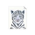 Picture of White Tiger Babe _GroupedProduct_Rectangle_Portrait_Mini_ _GroupedProduct_Rectangle_Portrait_Unframed_Print_Only_