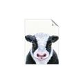 Picture of Big Farm Cow _GroupedProduct_Rectangle_Portrait_Mini_ _GroupedProduct_Rectangle_Portrait_Unframed_Print_Only_