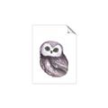 Picture of Little Farm Owl _GroupedProduct_Rectangle_Portrait_Mini_ _GroupedProduct_Rectangle_Portrait_Unframed_Print_Only_