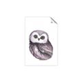 Picture of Little Farm Owl _GroupedProduct_Rectangle_Portrait_Mini_ _GroupedProduct_Rectangle_Portrait_Unframed_Print_Only_