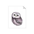 Picture of Little Farm Owl _GroupedProduct_Rectangle_Portrait_Mini_ _GroupedProduct_Rectangle_Portrait_Unframed_Print_Only_