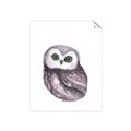 Picture of Little Farm Owl _GroupedProduct_Rectangle_Portrait_Mini_ _GroupedProduct_Rectangle_Portrait_Unframed_Print_Only_