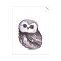 Picture of Little Farm Owl _GroupedProduct_Rectangle_Portrait_Mini_ _GroupedProduct_Rectangle_Portrait_Unframed_Print_Only_