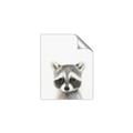 Picture of Coon Baby _GroupedProduct_Rectangle_Portrait_Mini_ _GroupedProduct_Rectangle_Portrait_Unframed_Print_Only_