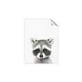 Picture of Coon Baby _GroupedProduct_Rectangle_Portrait_Mini_ _GroupedProduct_Rectangle_Portrait_Unframed_Print_Only_