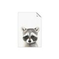 Picture of Coon Baby _GroupedProduct_Rectangle_Portrait_Mini_ _GroupedProduct_Rectangle_Portrait_Unframed_Print_Only_