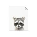 Picture of Coon Baby _GroupedProduct_Rectangle_Portrait_Mini_ _GroupedProduct_Rectangle_Portrait_Unframed_Print_Only_