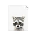 Picture of Coon Baby _GroupedProduct_Rectangle_Portrait_Mini_ _GroupedProduct_Rectangle_Portrait_Unframed_Print_Only_