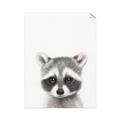 Picture of Coon Baby _GroupedProduct_Rectangle_Portrait_Mini_ _GroupedProduct_Rectangle_Portrait_Unframed_Print_Only_