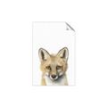 Picture of Foxy Baby _GroupedProduct_Rectangle_Portrait_Mini_ _GroupedProduct_Rectangle_Portrait_Unframed_Print_Only_
