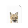 Picture of Foxy Baby _GroupedProduct_Rectangle_Portrait_Mini_ _GroupedProduct_Rectangle_Portrait_Unframed_Print_Only_