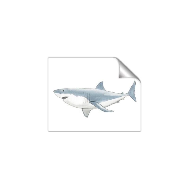 Picture of Great White Shark _GroupedProduct_Rectangle_Landscape_Mini_ _GroupedProduct_Rectangle_Landscape_Unframed_Print_Only_