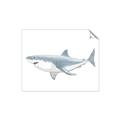 Picture of Great White Shark _GroupedProduct_Rectangle_Landscape_Mini_ _GroupedProduct_Rectangle_Landscape_Unframed_Print_Only_