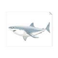 Picture of Great White Shark _GroupedProduct_Rectangle_Landscape_Mini_ _GroupedProduct_Rectangle_Landscape_Unframed_Print_Only_