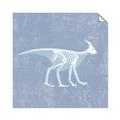 Picture of Blue X-ray Dino I _GroupedProduct_Square_Mini_ _GroupedProduct_Square_Unframed_Print_Only_