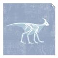 Picture of Blue X-ray Dino I _GroupedProduct_Square_Mini_ _GroupedProduct_Square_Unframed_Print_Only_