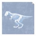 Picture of Blue X-ray Dino II _GroupedProduct_Square_Mini_ _GroupedProduct_Square_Unframed_Print_Only_