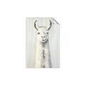 Picture of Brown and White Llama _GroupedProduct_Rectangle_Portrait_Mini_ _GroupedProduct_Rectangle_Portrait_Unframed_Print_Only_