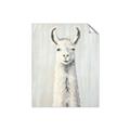 Picture of Brown and White Llama _GroupedProduct_Rectangle_Portrait_Mini_ _GroupedProduct_Rectangle_Portrait_Unframed_Print_Only_