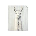 Picture of Brown and White Llama _GroupedProduct_Rectangle_Portrait_Mini_ _GroupedProduct_Rectangle_Portrait_Unframed_Print_Only_