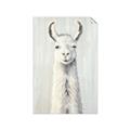 Picture of Brown and White Llama _GroupedProduct_Rectangle_Portrait_Mini_ _GroupedProduct_Rectangle_Portrait_Unframed_Print_Only_