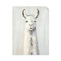 Picture of Brown and White Llama _GroupedProduct_Rectangle_Portrait_Mini_ _GroupedProduct_Rectangle_Portrait_Unframed_Print_Only_