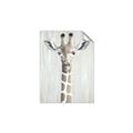 Picture of Close-up Giraffe _GroupedProduct_Rectangle_Portrait_Mini_ _GroupedProduct_Rectangle_Portrait_Unframed_Print_Only_