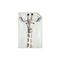 Picture of Close-up Giraffe _GroupedProduct_Rectangle_Portrait_Mini_ _GroupedProduct_Rectangle_Portrait_Unframed_Print_Only_