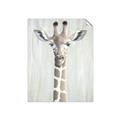 Picture of Close-up Giraffe _GroupedProduct_Rectangle_Portrait_Mini_ _GroupedProduct_Rectangle_Portrait_Unframed_Print_Only_