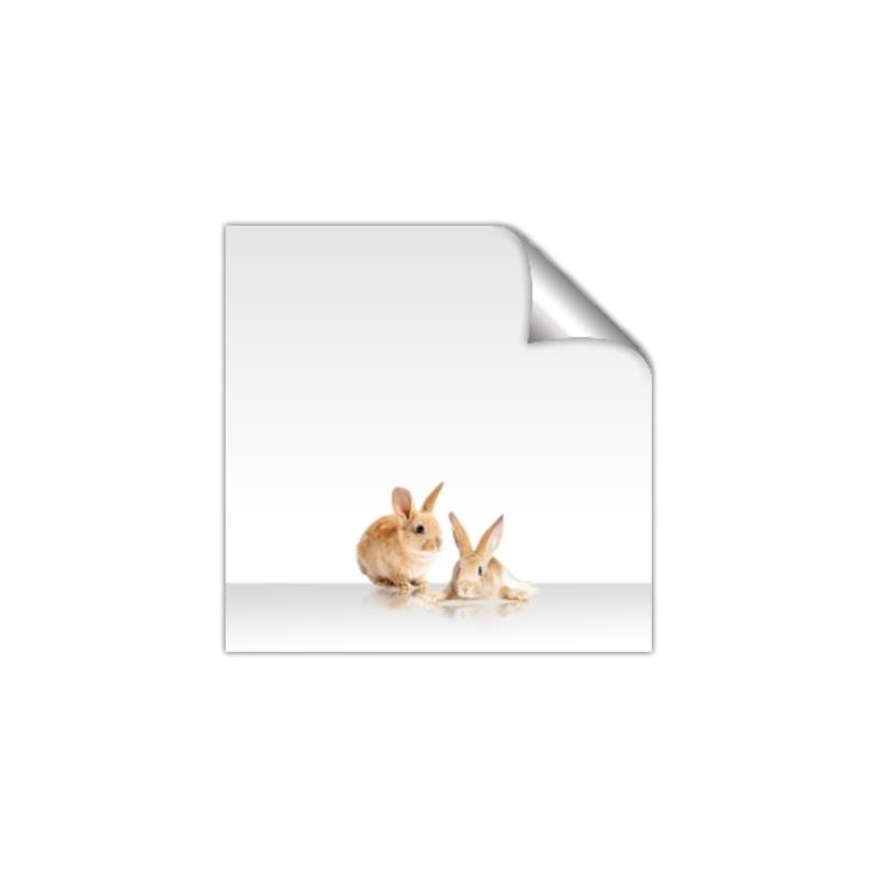 Picture of Together Bunnies _GroupedProduct_Square_Mini_ _GroupedProduct_Square_Unframed_Print_Only_