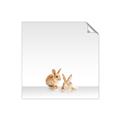 Picture of Together Bunnies _GroupedProduct_Square_Mini_ _GroupedProduct_Square_Unframed_Print_Only_