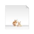 Picture of Together Bunnies _GroupedProduct_Square_Mini_ _GroupedProduct_Square_Unframed_Print_Only_