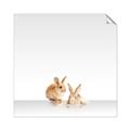 Picture of Together Bunnies _GroupedProduct_Square_Mini_ _GroupedProduct_Square_Unframed_Print_Only_