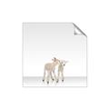 Picture of Together Lambs _GroupedProduct_Square_Mini_ _GroupedProduct_Square_Unframed_Print_Only_