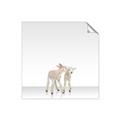 Picture of Together Lambs _GroupedProduct_Square_Mini_ _GroupedProduct_Square_Unframed_Print_Only_